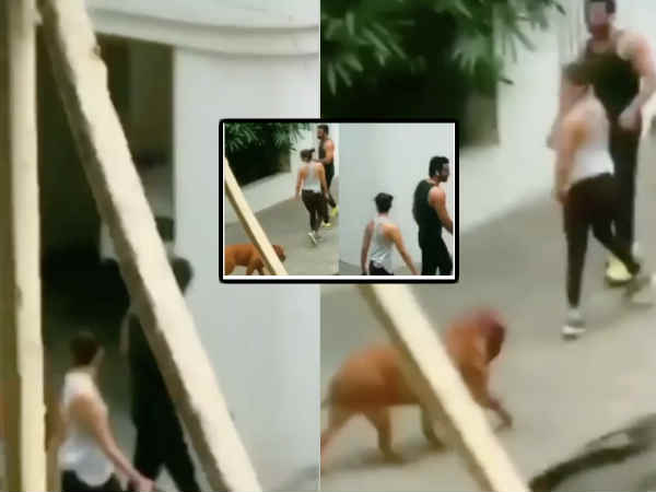 soni-razdan-confirms-alia-bhatt-and-ranbir-kapoor-in-a-live-in-relationship