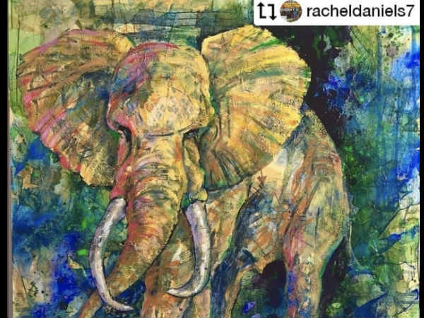 bollywood-celebs-react-to-pregnant-elephant-fed-with-crackers-and-dying-in-pain