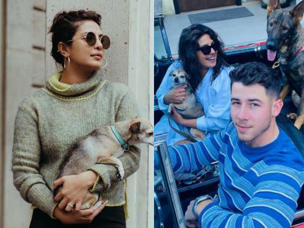 priyanka chopra, प्रियंका चोपड़ा priyanka chopra, प्रियंका चोपड़ा