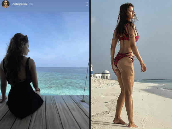 tiger-shroff-and-disha-patani-viral-bikini-pics-from-exotic-maldives-holiday