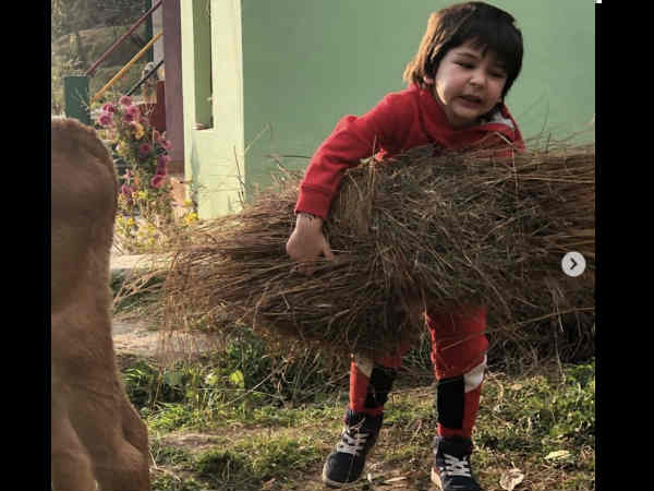 taimur-ali-khan-s-avengers-theme-birthday-party-comes-out-to-wave-to-paps-see-inside-pics