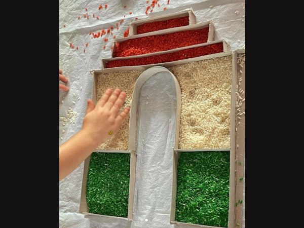 इनाया का 26 जनवरी ट्रिब्यूट