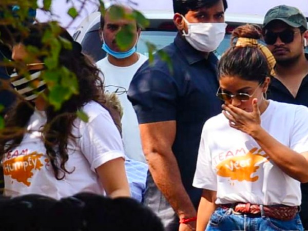 टीम हंप्टी और टीम वीर टीम हंप्टी और टीम वीर