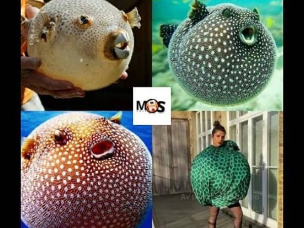  प्रियंका चोपड़ा का उड़ा मजाक