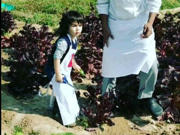 गार्डनिंग के शौकीन