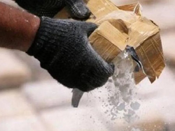  रिया चक्रवर्ती का नाम भी है शामिल