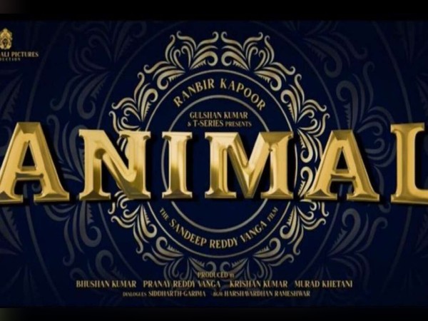 क्यों है एनिमल फिल्म से इतनी उम्मीदें क्यों है एनिमल फिल्म से इतनी उम्मीदें