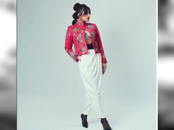 द व्हाइट टाइगर