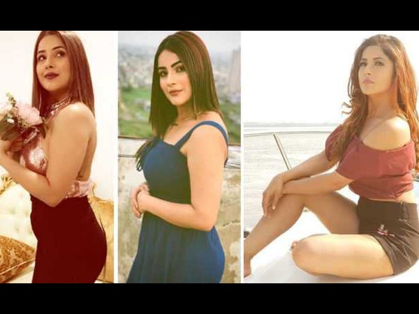 करियर की शुरुआत