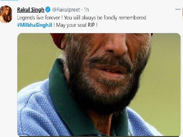 रकुल प्रीत रकुल प्रीत