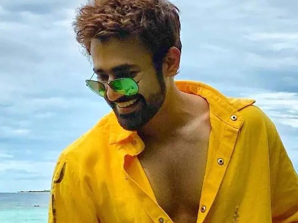 पर्ल वी पुरी का पूरा मामला जानिए