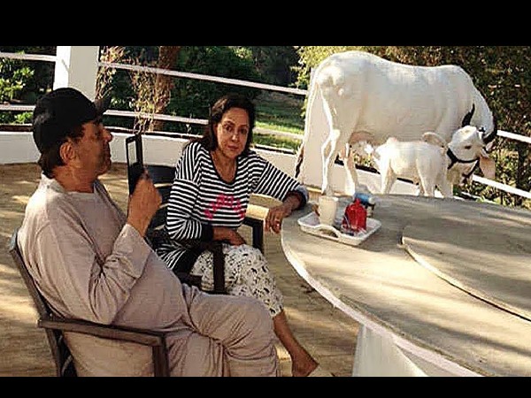 लग्जरी स्वीमिंग पूल