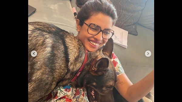 प्रियंंका एनिमल लवर