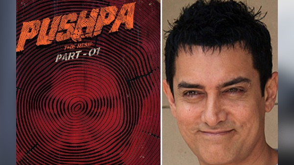 अल्लू अर्जुन की पुष्पा का बजट