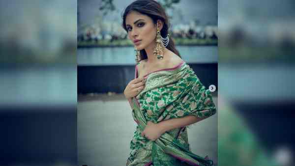 नागिन से मिला स्टारडम