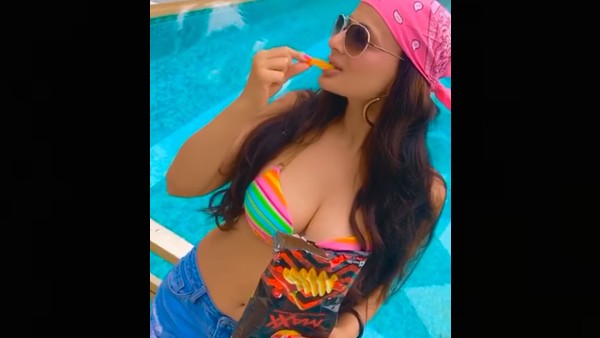  गदर 2 से अमीषा पटेल की वापसी