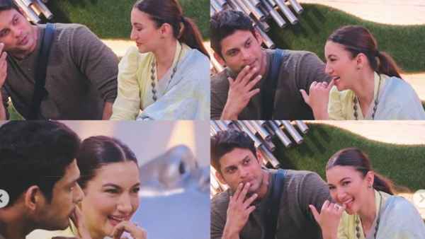 गौहर खान ने भी लिखा शर्म करो