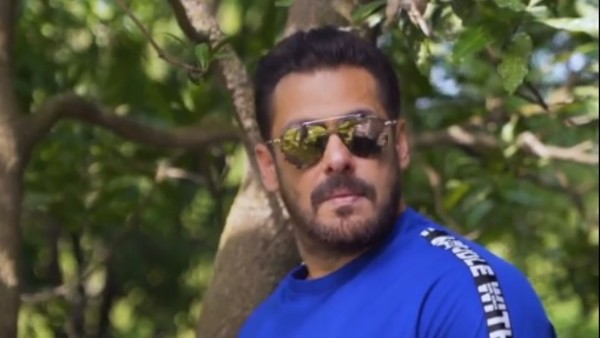 कैटरीना कैफ नजर आने वाली हैं