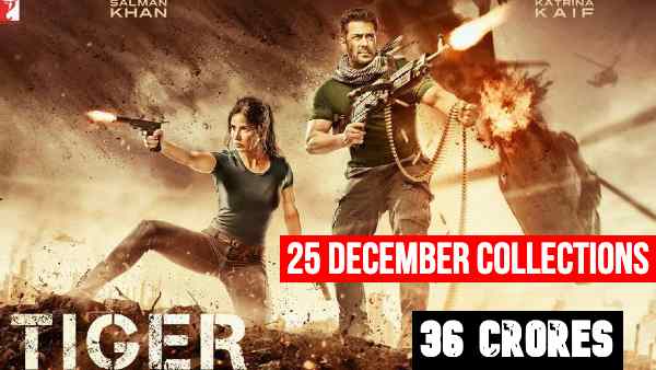 2017 - टाईगर ज़िंदा है