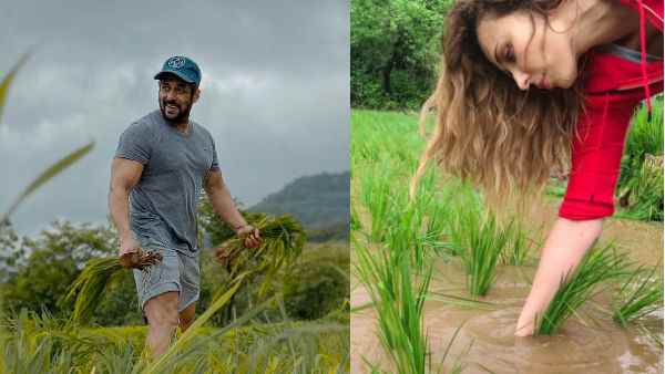 काफी ट्रेंड में रहा पणवेल