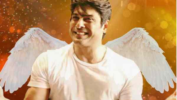 सोशल मीडिया से दूर थीं शहनाज़