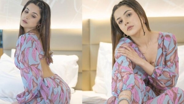क्या है शहनाज गिल के हॅालीवुड सीरीज का सच?