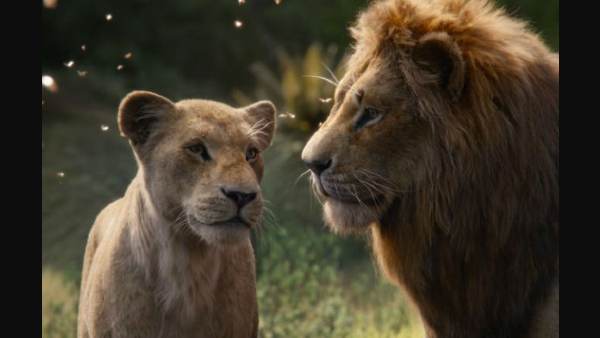 द लॉयन किंग द लॉयन किंग