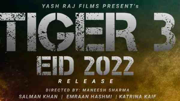 टाईगर 3 की तैयारी में व्यस्त
