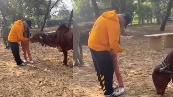 akshay kumar, अक्षय कुमार akshay kumar, अक्षय कुमार