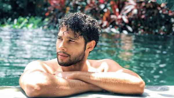 सिद्धांत चतुर्वेदी के अपकमिंग प्रोजेक्ट्स