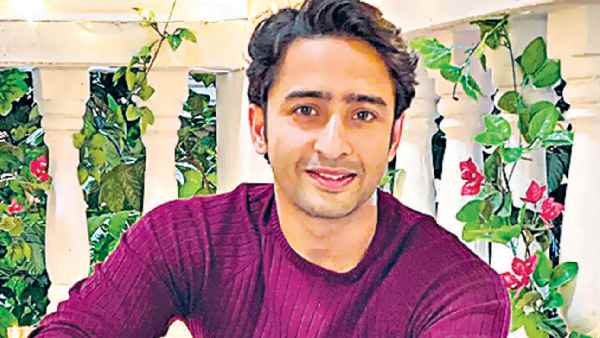 सबके फेवरिट हैं शाहीर शेख