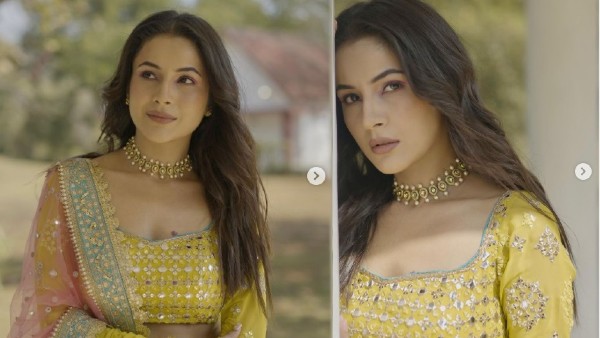 shehnaaz gill shehnaaz gill