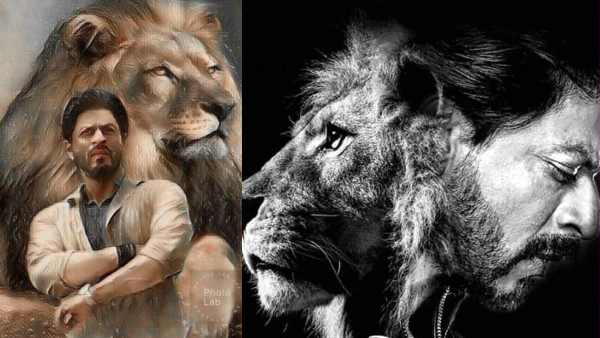 बीच में ही रूकी है लायन