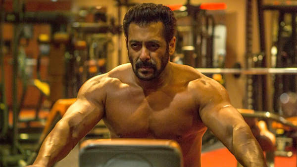 टाइगर 3 टाइगर 3