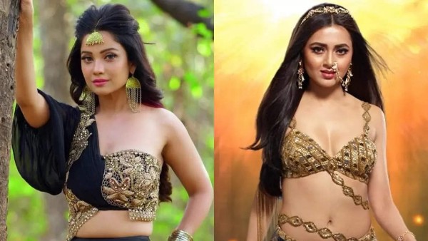 अदा खान की फीस