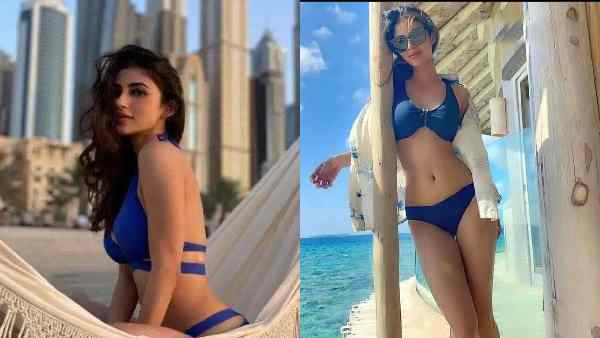 नागिन से मिला स्टारडम नागिन से मिला स्टारडम