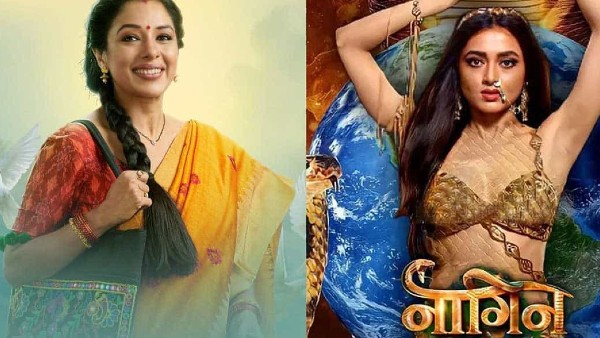 naagin 6, Anupamaa naagin 6, Anupamaa