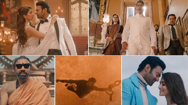 नहीं चला स्टारडम नहीं चला स्टारडम