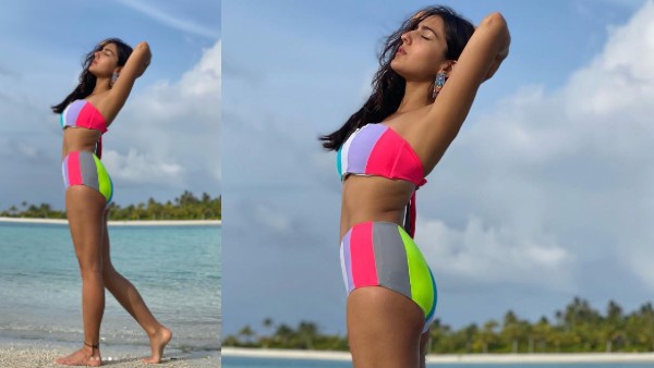 वीकेंड पर किया आराम वीकेंड पर किया आराम