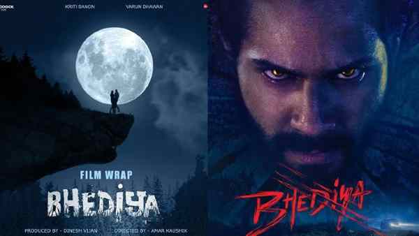 हॉरर यूनिवर्स से बायोपिक तक