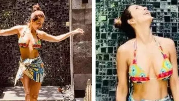 मलाइका अरोड़ा की नेट वर्थ 100 और फीस