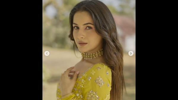 Sidharth shukla,Shehnaaz Gill