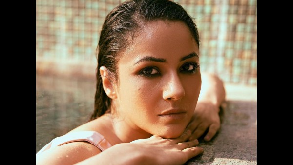 शहनाज गिल का सबसे सेक्सी फोटोशूट