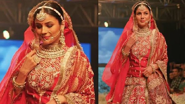 शहनाज़ गिल का ऑटोग्राफ