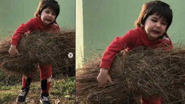 जेह के बड़े भईया, खूब रखते हैं ख्याल जेह के बड़े भईया, खूब रखते हैं ख्याल