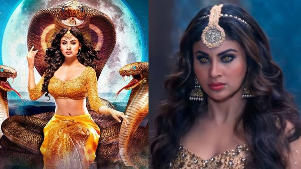 टीवी की पहली नागिन टीवी की पहली नागिन