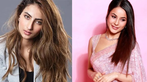 पलक ने किया रिप्लेस