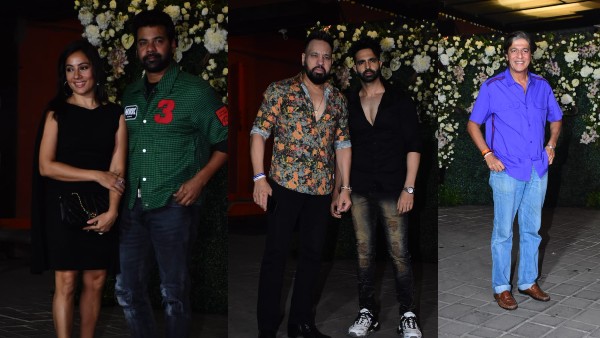 दिखे शेरा