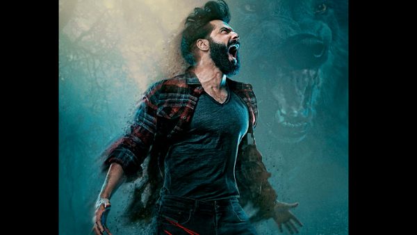 भेड़िया : 