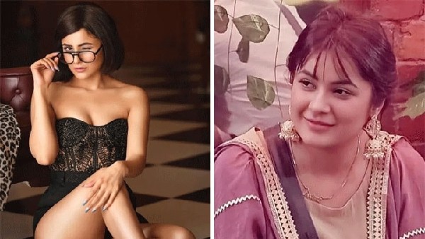 बिग बॉस की फेवरिट से फैन्स की फेवरिट